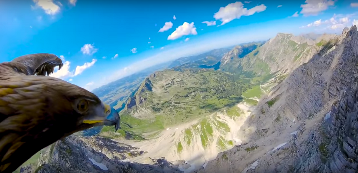 Kameramanské zručnosti predviedol orol letiaci nad Alpami a vytvoril úžasné video na GoPro kameru.